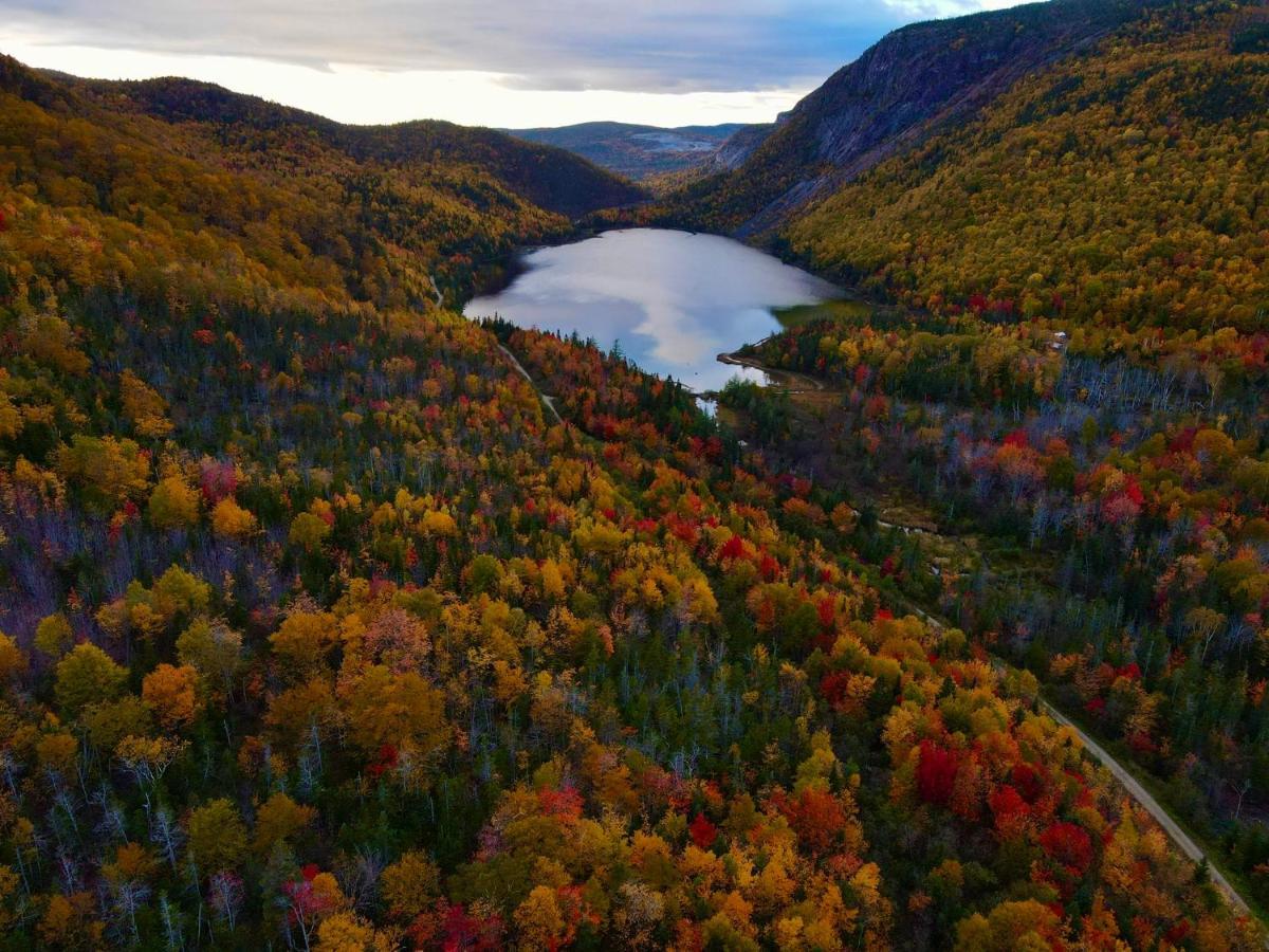 Bonne Bay Cottages Bonne Bay Pond Екстер'єр фото